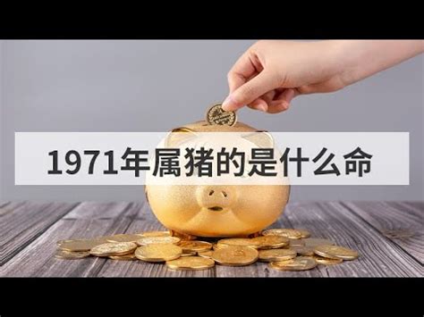 1971屬什麼